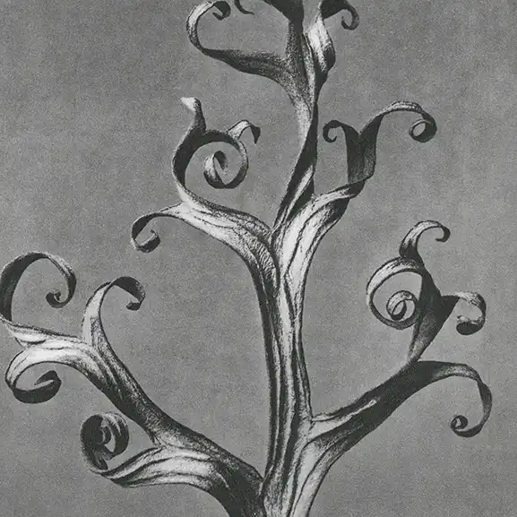 FlickerSense light analysis app